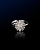 Fabriano - Piazza del Comune 25 - Ring Bliss Woman Bl girasole in White Gold Diamante 0.37 Ct 20111388 - 20111388
